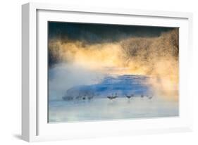 Wake-Up Dance-C. Mei-Framed Photographic Print