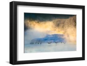 Wake-Up Dance-C. Mei-Framed Photographic Print