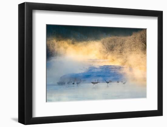 Wake-Up Dance-C. Mei-Framed Photographic Print