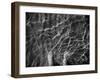 Wake Up-Bruno Abarco-Framed Photographic Print