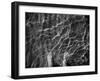 Wake Up-Bruno Abarco-Framed Photographic Print