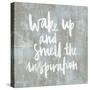 Wake Up-Jamie MacDowell-Stretched Canvas