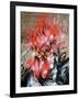 Wake-Taka Sudo-Framed Giclee Print