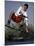 Wakeboarder in Action-null-Mounted Photographic Print