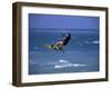 Wakeboarding-null-Framed Photographic Print