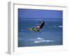 Wakeboarding-null-Framed Photographic Print