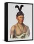 Wakechai or 'Crouching Eagle', a Sauk Chief-Charles Bird King-Framed Stretched Canvas