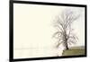 Waking Up Under a White Veiled Dawn-Jacob Berghoef-Framed Photographic Print