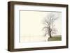 Waking Up Under a White Veiled Dawn-Jacob Berghoef-Framed Photographic Print