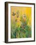 Waking Up with Sunshine-Robin Maria-Framed Art Print