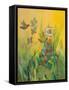 Waking Up with Sunshine-Robin Maria-Framed Stretched Canvas