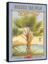 Wakuku Fan Palm-Kerne Erickson-Framed Stretched Canvas