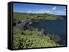 Walanapanapa Beach, Maui, Hawaii, Hawaiian Islands, Pacific, USA-Alison Wright-Framed Stretched Canvas