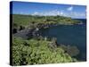 Walanapanapa Beach, Maui, Hawaii, Hawaiian Islands, Pacific, USA-Alison Wright-Stretched Canvas