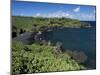 Walanapanapa Beach, Maui, Hawaii, Hawaiian Islands, Pacific, USA-Alison Wright-Mounted Photographic Print