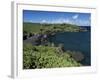 Walanapanapa Beach, Maui, Hawaii, Hawaiian Islands, Pacific, USA-Alison Wright-Framed Photographic Print