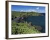 Walanapanapa Beach, Maui, Hawaii, Hawaiian Islands, Pacific, USA-Alison Wright-Framed Photographic Print