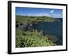 Walanapanapa Beach, Maui, Hawaii, Hawaiian Islands, Pacific, USA-Alison Wright-Framed Photographic Print