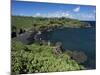 Walanapanapa Beach, Maui, Hawaii, Hawaiian Islands, Pacific, USA-Alison Wright-Mounted Photographic Print