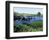 Walanapanapa Black Sand Beach, Hana Coast, Maui, Hawaii, Hawaiian Islands, USA-Alison Wright-Framed Photographic Print