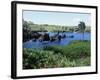 Walanapanapa Black Sand Beach, Hana Coast, Maui, Hawaii, Hawaiian Islands, USA-Alison Wright-Framed Photographic Print