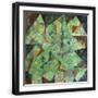 Black Frame