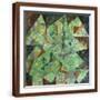 Brown Frame