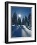 Wald, Winterlandschaft, Waldrand, Bv¤Ume, Natur, Botanik, Winter-Thonig-Framed Photographic Print