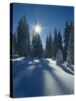 Wald, Winterlandschaft, Waldrand, Bv¤Ume, Natur, Botanik, Winter-Thonig-Stretched Canvas