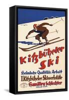 Waldekitzbueheler-Vintage Apple Collection-Framed Stretched Canvas