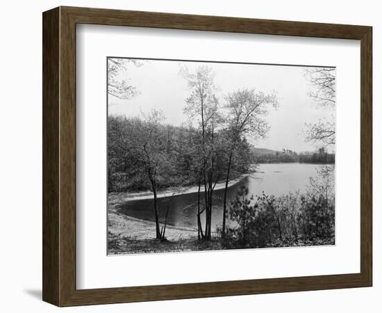Walden Pond from Henry David Thoreau's Hut-null-Framed Giclee Print