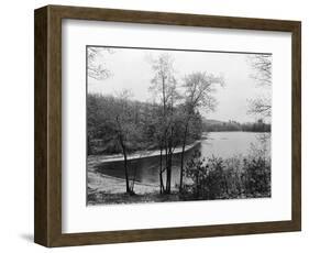 Walden Pond from Henry David Thoreau's Hut-null-Framed Giclee Print