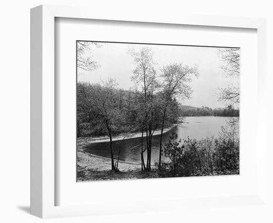 Walden Pond from Henry David Thoreau's Hut-null-Framed Giclee Print