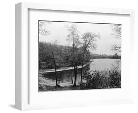 Walden Pond from Henry David Thoreau's Hut-null-Framed Giclee Print