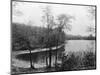 Walden Pond from Henry David Thoreau's Hut-null-Mounted Giclee Print