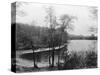 Walden Pond from Henry David Thoreau's Hut-null-Stretched Canvas