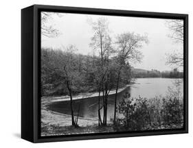 Walden Pond from Henry David Thoreau's Hut-null-Framed Stretched Canvas