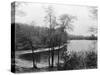 Walden Pond from Henry David Thoreau's Hut-null-Stretched Canvas