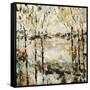 Waldens Walk-Jodi Maas-Framed Stretched Canvas