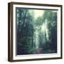 Waldweg-Dirk Wuestenhagen-Framed Photographic Print