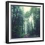 Waldweg-Dirk Wuestenhagen-Framed Photographic Print