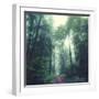 Waldweg-Dirk Wuestenhagen-Framed Photographic Print