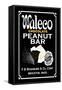 Waleco Chocolate Peanut Bar-null-Framed Stretched Canvas