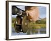 Wales, Conwy, Trout Fishing at a Hill Lake in North Wales, UK-John Warburton-lee-Framed Photographic Print