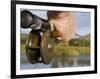 Wales, Conwy, Trout Fishing at a Hill Lake in North Wales, UK-John Warburton-lee-Framed Photographic Print