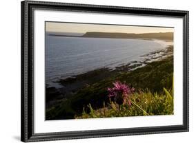 Wales Gower-Charles Bowman-Framed Photographic Print