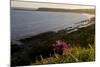 Wales Gower-Charles Bowman-Mounted Photographic Print