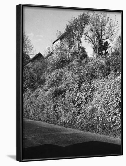 Wales, Penarth-null-Framed Photographic Print