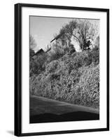 Wales, Penarth-null-Framed Photographic Print