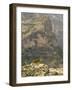 Walia Ibex and Gelada Baboon, Simen National Park, Northern Ethiopia-Janis Miglavs-Framed Photographic Print